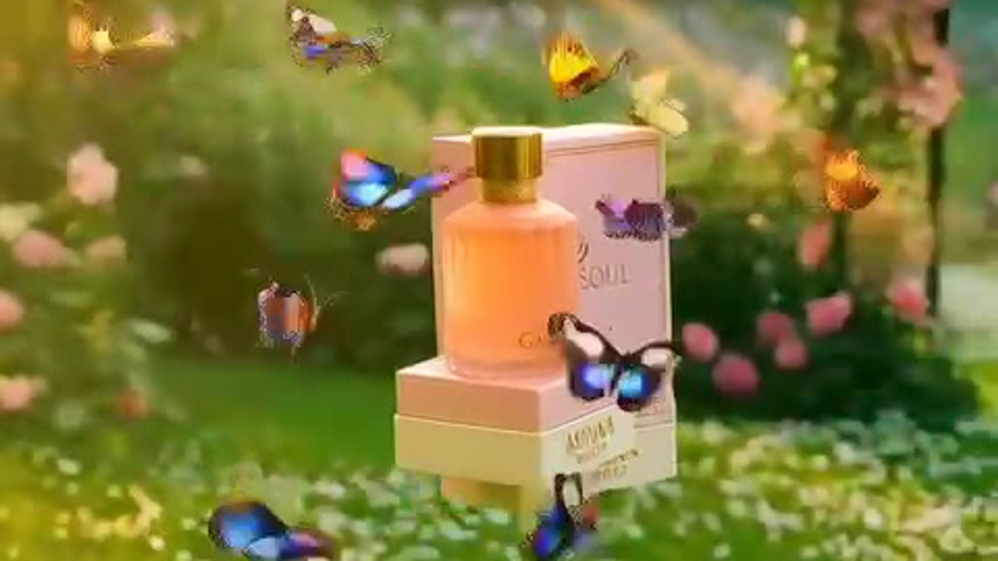 SOUL DARDEN PERFUME